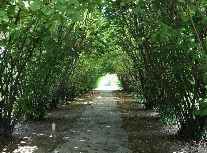 Affittacamere Ca' Borgo Delle Rane